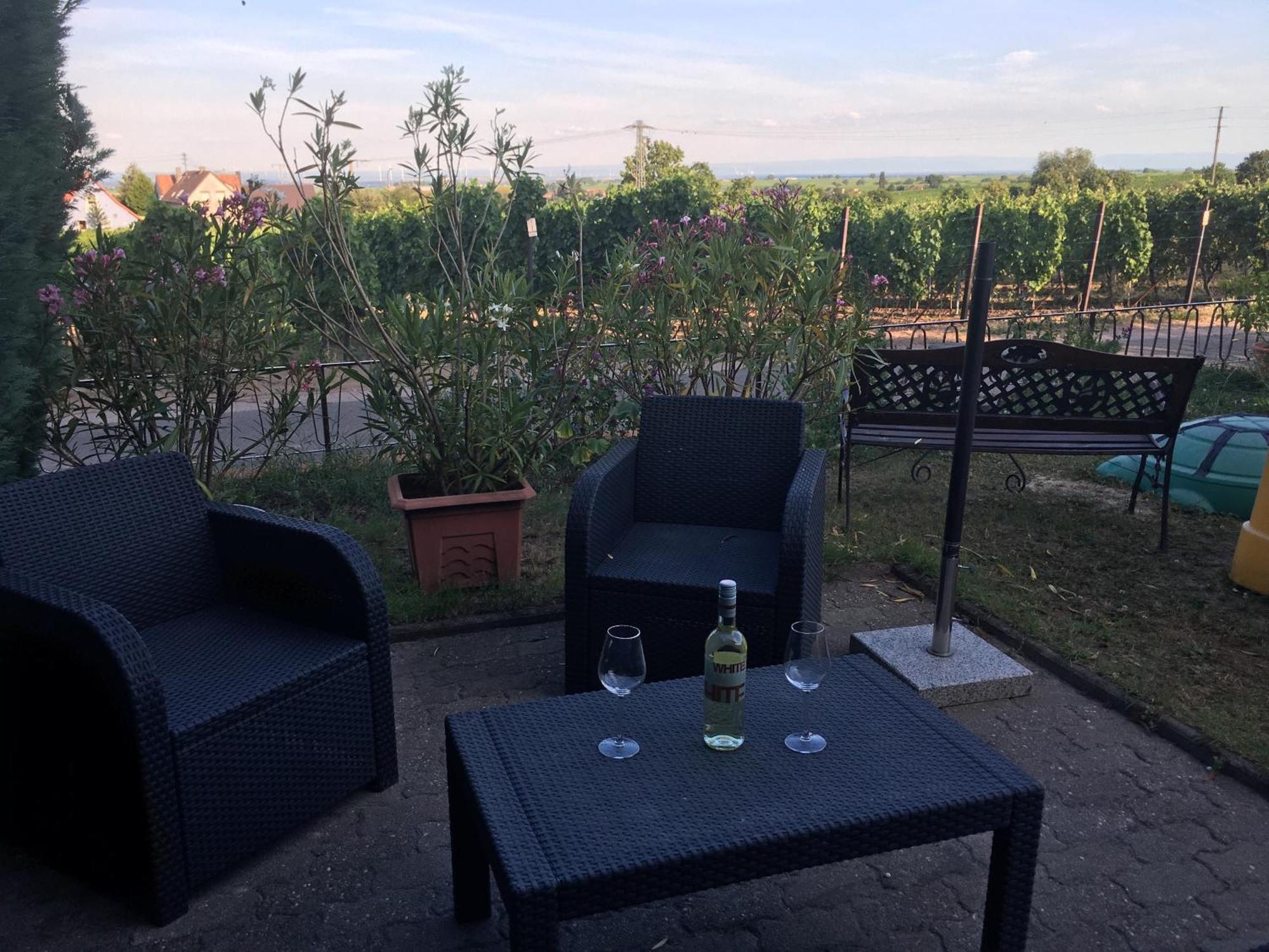 Ferienwohnung Suedpfalzblick เบอร์ไวเลอร์ ภายนอก รูปภาพ