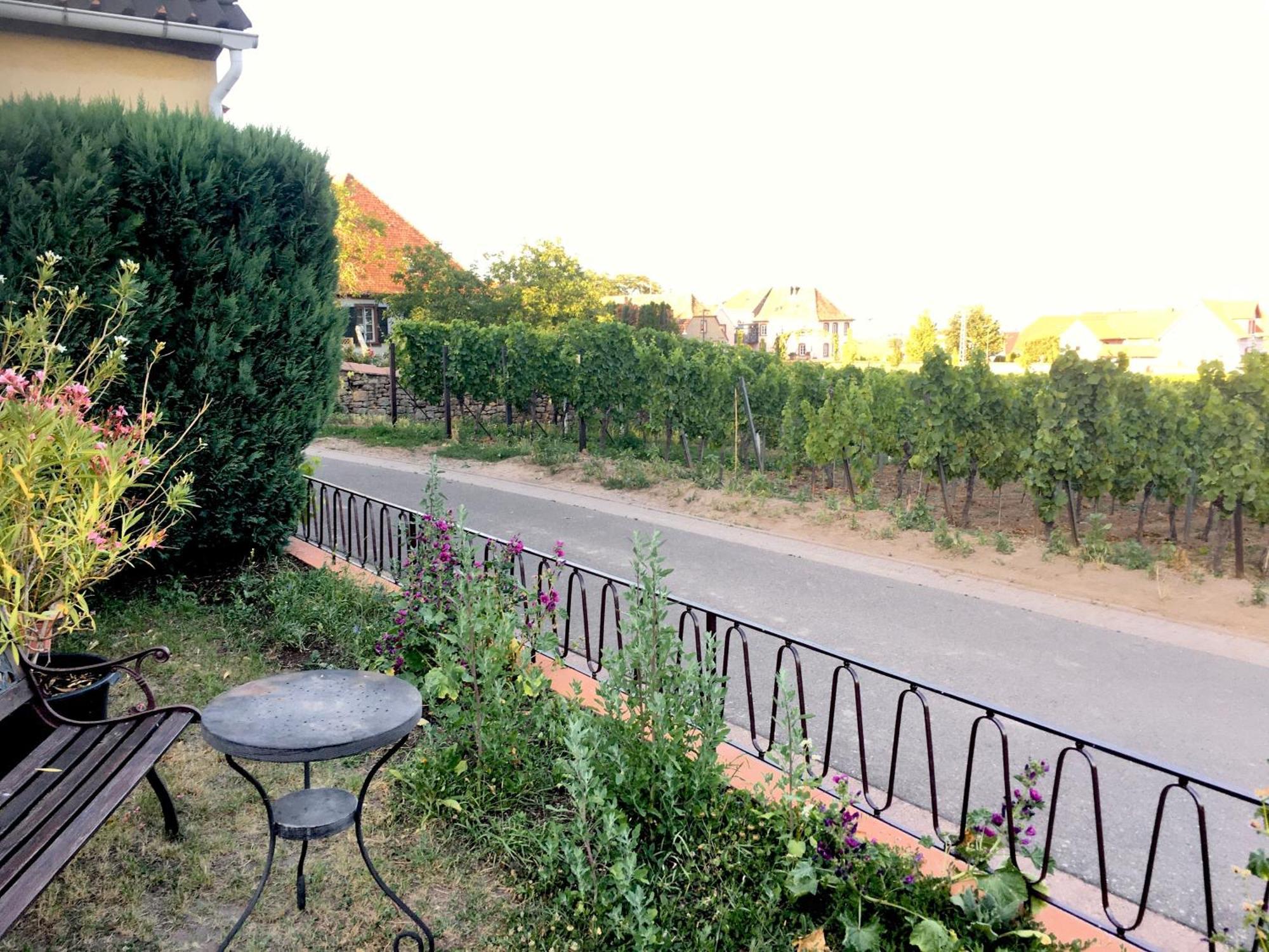 Ferienwohnung Suedpfalzblick เบอร์ไวเลอร์ ภายนอก รูปภาพ